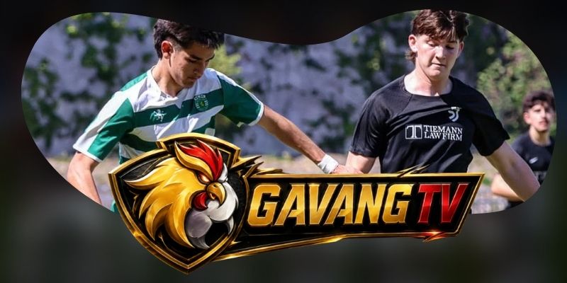 Phân tích phong độ Viseu vs Santa Clara từ khả năng thắng bóng hai